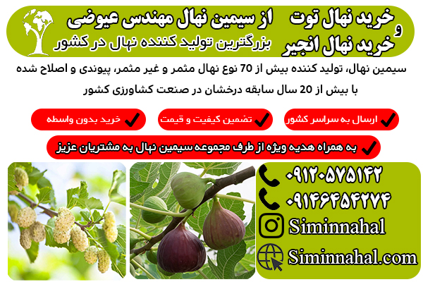 خرید نهال با میوه های پر سود