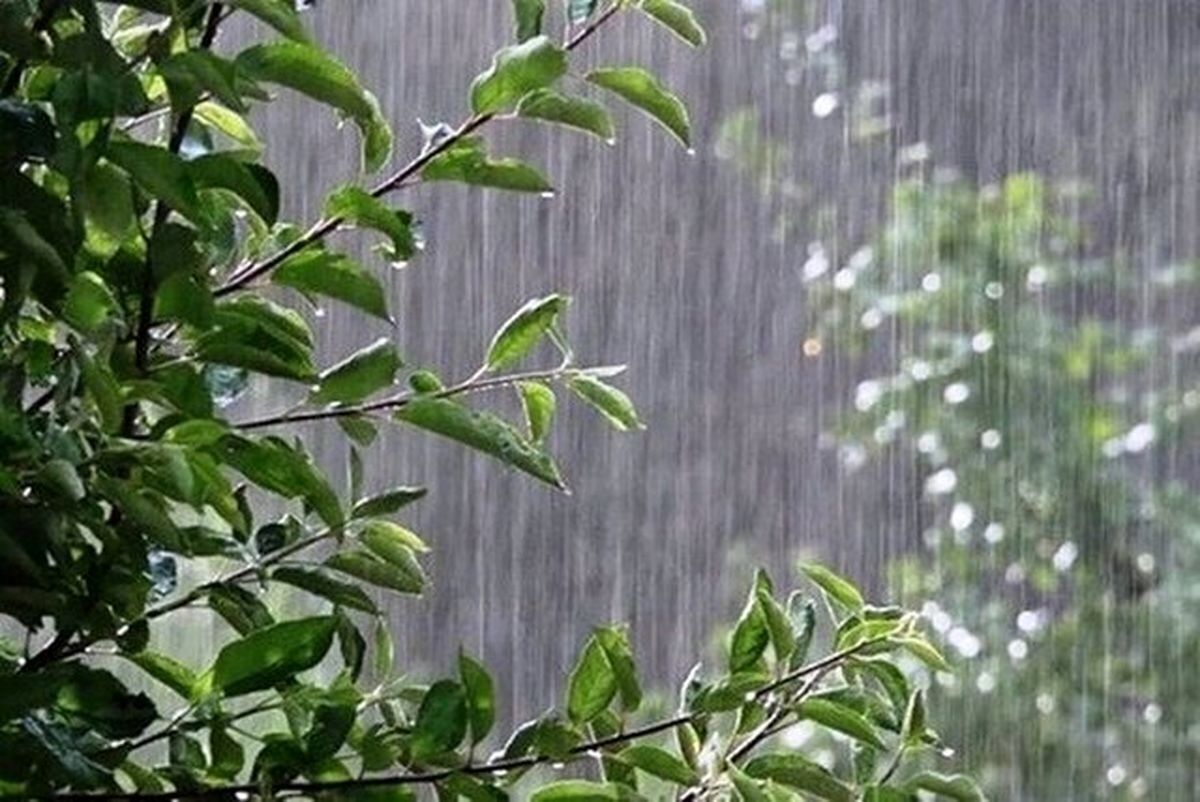 پیشبینی هواشناسی؛ باران تابستانی در راه است