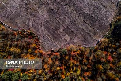 ایران زیباست؛ جایی میان پاییز و زمستان
