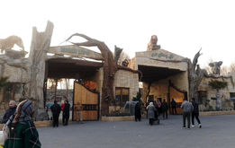 پرویز ۷۰ ساله با پارک ارم خداحافظی کرد