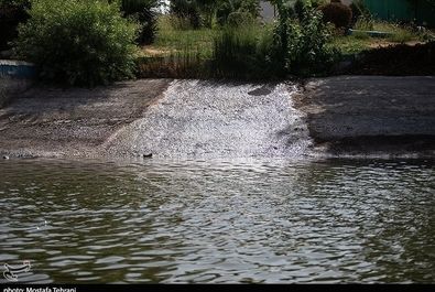 دریاچه آزادی