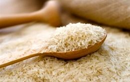 شوک بزرگ به مردم/ قیمت برنج ۳۰۰ هزارتومان می شود؟ 