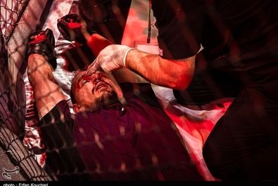 مسابقات رسمی MMA