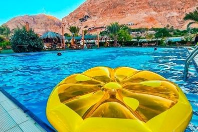 تصویر متفاوت از فلسطین با این دو زن