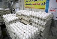قیمت تخم مرغ امروز سه‌شنبه ۱۰ تیر ۱۴۰۴ + جدول