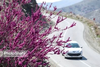 دره ارغوان