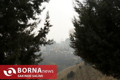 آلودگی هوا تهران را بلعید