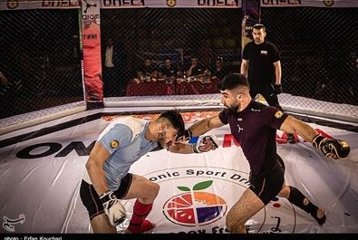 مسابقات رسمی MMA