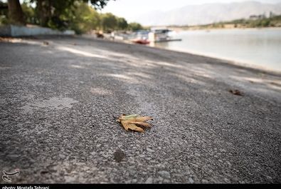 دریاچه آزادی